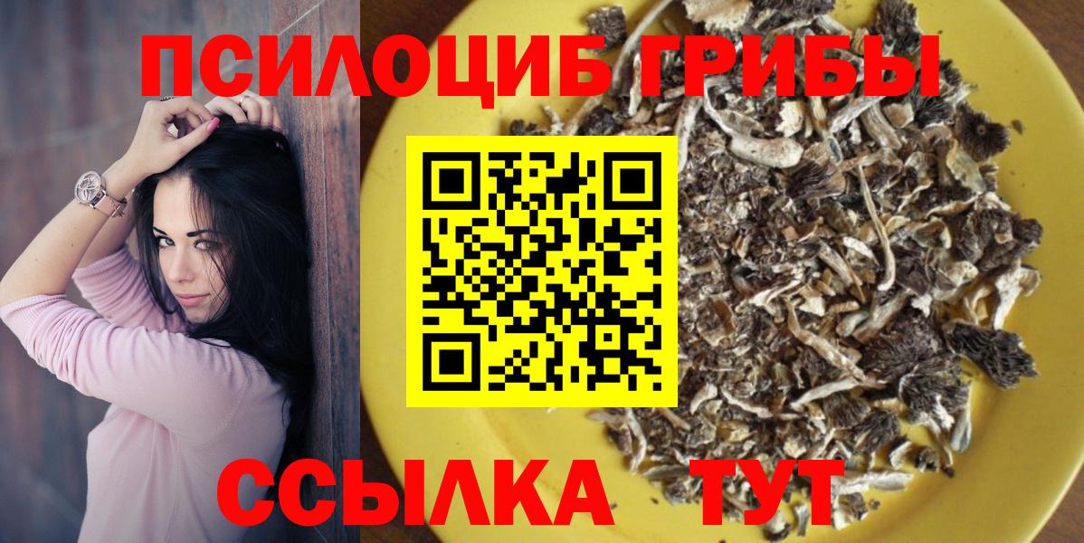 Псилоцибиновые грибы GOLDEN TEACHER  Вход с VPN  Кудымкар 